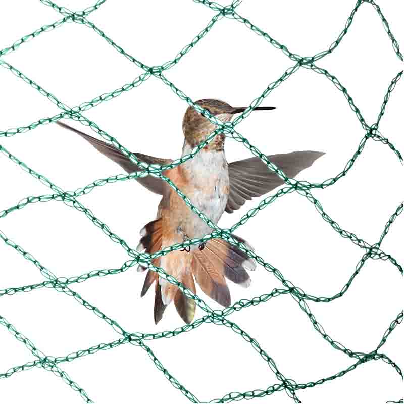 Apa manfaat jaring anti burung?
