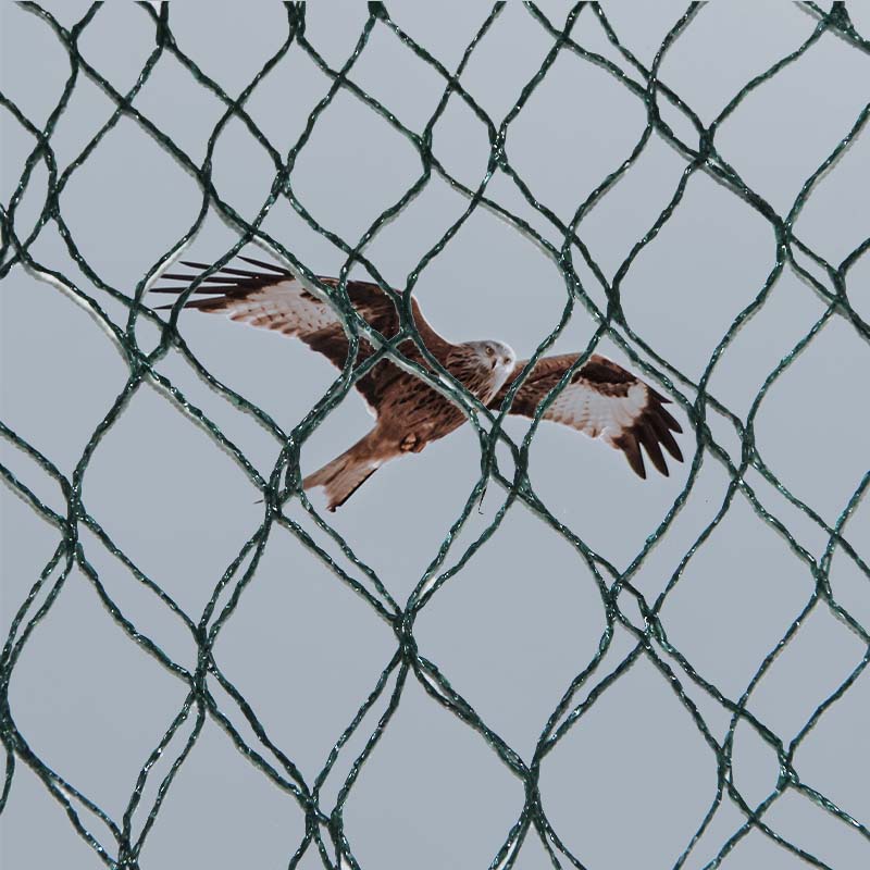 Apa saja pilihan bahan serta kelebihan dan kekurangan jaring pencegah burung?