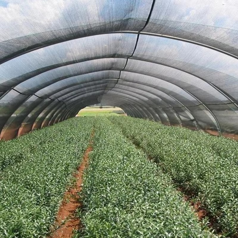 Apakah efek pendinginan kain peneduh bagus?