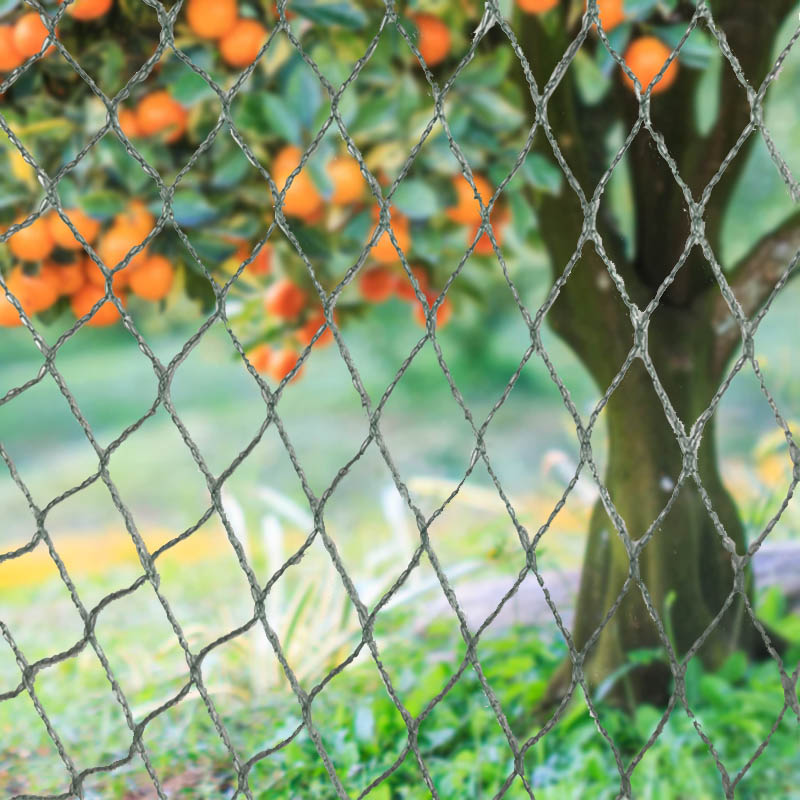 Lindungi Tanaman, Properti & Investasi Anda dengan Jaring Burung Tugas Berat Kami!