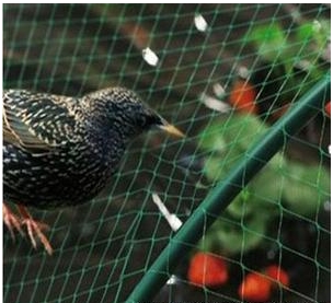 Jaring Anti Burung Untuk Balkon