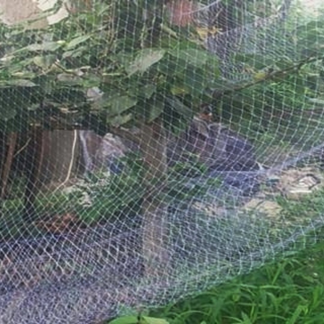 Jaring Burung untuk Taman